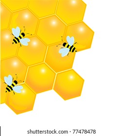 glossy honeycombs with bees isolated on white