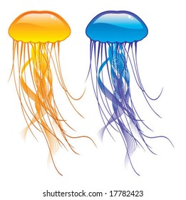 Glossy Jelly Fish Art