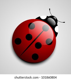 Glossy ladybug icon isolated on grey background