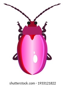 A glossy, pink vector flea beetle