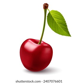 A glossy, ripe cherry rests on a white background, crowned with a veined green leaf.