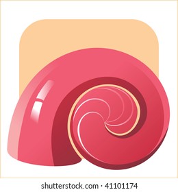 glossy seashell