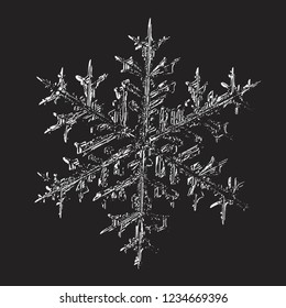 Glossy snowflake isolated on black background. Vector illustration based on macro photo of real snow crystal: large stellar dendrite with hexagonal symmetry, complex ornate shape and six elegant arms.
