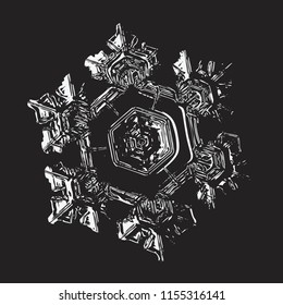 Glossy snowflake on black background. This vector illustration based on macro photo of real snow crystal: small star plate with six short, broad arms, relief surface and complex inner structure.