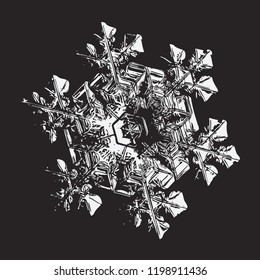 Glossy snowflake on black background. This vector illustration based on macro photo of real snow crystal: elegant star plate with hexagonal symmetry, ornate arms, relief surface and complex details.