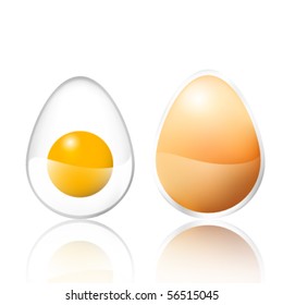 glossy vector eggs