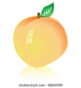 Glossy vector illustration of a ripe peach