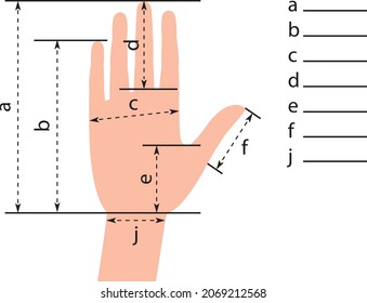 Glove Sizing Charts. Template for measuring hands. Vector illustration.