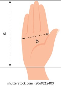 Glove sizing template. Glove Sizing Charts. Template for measuring gloves. Vector illustration