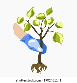 Una mano humana engullida sostiene una toma de un árbol. Elemento aislado sobre un fondo blanco