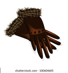 Gloves Isolated on white