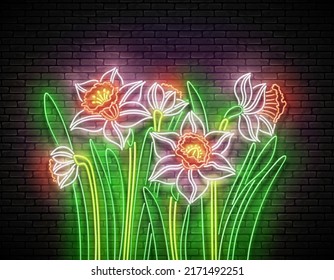 Glow Bouquet of Daffodils. Greeting Card Template with  Spring Flowers. Shiny Neon Light Poster, Flyer, Banner, Postcard. Brick Wall. Vector 3d Illustration