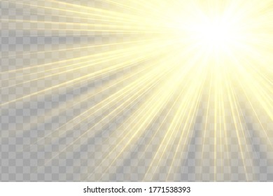 Glow isolated yellow light effect set, lens flare, explosion, glitter, line, sun flash and stars. Abstract special effect element design. Shine ray with lightning. Set of gold bright beautiful stars