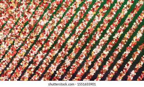 Glowing Background with Confetti of Glitter Particles. Sparkle Lights Texture. Party pattern. Light Spots. Star Dust. Explosion of Confetti. Design for Invitation.