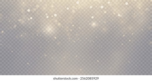 Glowing bokeh effect and shimmering highlights with bright particles, vibrant light effect isolated on transparent background for backgrounds and overlays in illustrations and web design. Vector