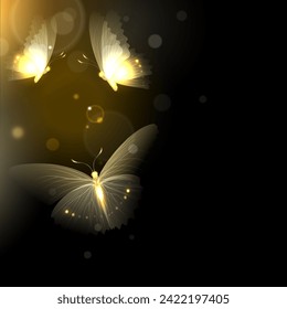 glowing butterflies fly on a black background