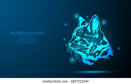 glowing cat on a dark blue background of the space with shining stars.