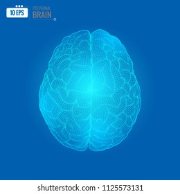 Glowing digital 3D wireframe brain illustration in top view isolated on blue background