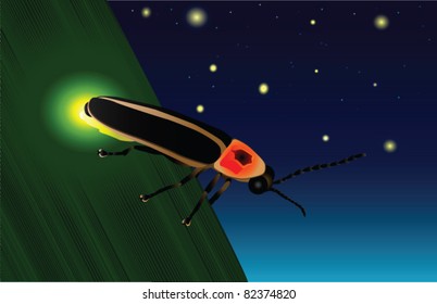 Glowing Firefly