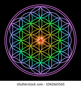 Glowing Flower of Life. Vector illustration.