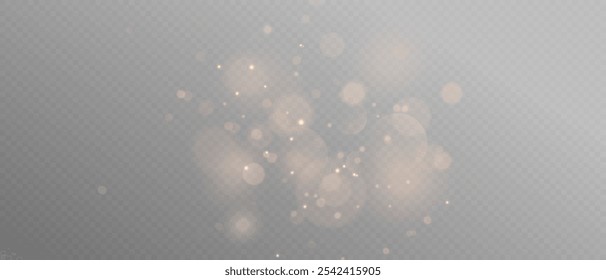 Glowing light effect with glitter on transparent background. Bokeh Lights. Vector starry cloud with dust. Christmas glowing light spark and glitter overlay.