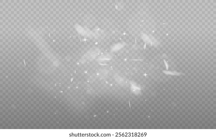 Glowing light effect with glitter on transparent background. Bokeh Lights. Vector starry cloud with dust. Christmas glowing light spark and glitter overlay.