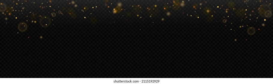Efecto luminoso brillante con muchas partículas brillantes aisladas en el fondo negro. Desenfoque desenfocado. Nubes de estrellas vectoras con polvo.