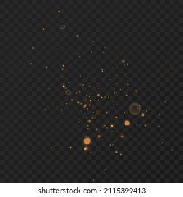 Glowing light effect with lots of shiny particles isolated on black background. Defocused glitter. Vector star cloud with dust.