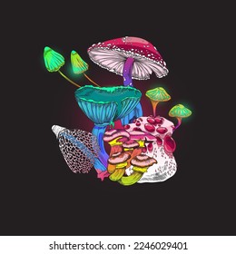 Taburetes mágicos brillantes y hongos fantasía plantas ilustraciones vectoriales aisladas en el fondo oscuro. Hongos tóxicos venenosos y hongos en colores brillantes.