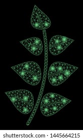 Glowing mesh leaf branch with glow effect. Abstract illuminated model of leaf branch icon. Shiny wire frame polygonal mesh leaf branch. Vector abstraction on a black background.