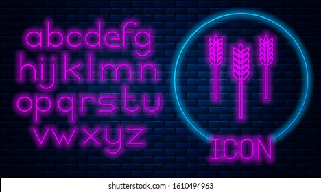 Glowing neon Cereals set with rice, wheat, corn, oats, rye, barley icon isolated on brick wall background. Ears of wheat bread symbols. Neon light alphabet. Vector Illustration