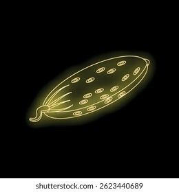 Glowing neon cucumber on black background representing healthy food and freshness