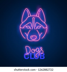 Glowing neon effect Dogs club Husky sign. Vector illustration dog head, night bright advertising design element, puppy logo light signboard banner for veterinary clinic, pet shop, club, bar concept