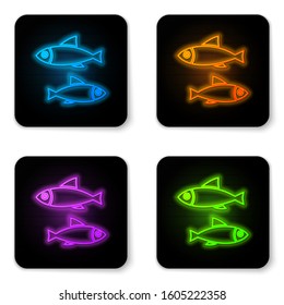 Glowing neon Fish icon isolated on white background. Black square button. Vector Illustration