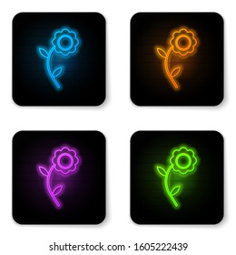 Glowing neon Flower icon isolated on white background. Black square button. Vector Illustration