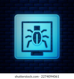 Glowing neon Insects in a frame icon isolated on brick wall background. Herbarium.  Vector