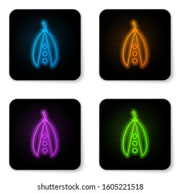 Glowing neon Kidney beans icon isolated on white background. Black square button. Vector Illustration