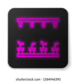 Glowing neon line Automatic irrigation sprinklers icon isolated on white background. Watering equipment. Garden element. Spray gun icon. Black square button. Vector Illustration