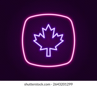 Linha de néon brilhante ícone da folha de bordo canadense isolado no plano de fundo preto. Folha de bordo símbolo do Canadá. Conceito de contorno colorido. Vetor