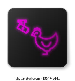 Glowing neon line Chicken farm and wireless Controlling CCTV security camera icon isolated on white background. Black square button. Vector Illustration