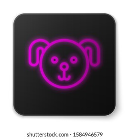 Glowing neon line Dog zodiac sign icon isolated on white background. Astrological horoscope collection. Black square button. Vector Illustration