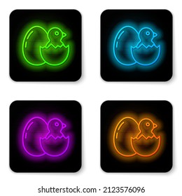 Glowing neon line Little chick in cracked egg icon isolated on white background. Black square button. Vector