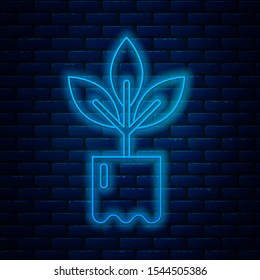 Glowing neon line Plant in bottle icon isolated on brick wall background. Seed and seedling. Leaves sign. Leaf nature.  Vector Illustration