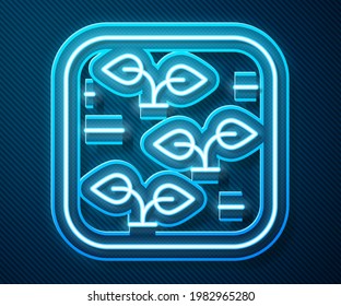 Glowing neon line Plant icon isolated on blue background. Seed and seedling. Leaves sign. Leaf nature.  Vector