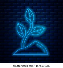 Glowing neon line Sprout icon isolated on brick wall background. Seed and seedling. Leaves sign. Leaf nature.  Vector Illustration
