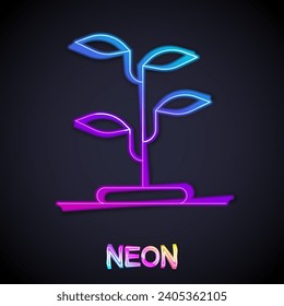 Glowing neon line Sprout icon isolated on black background. Seed and seedling. Leaves sign. Leaf nature.  Vector