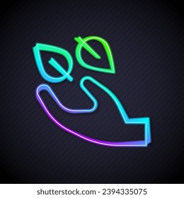Glowing neon line Tea leaf in hand icon isolated on black background. Tea leaves.  Vector