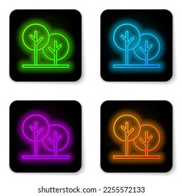 Glowing neon line Tree icon isolated on white background. Forest symbol. Black square button. Vector