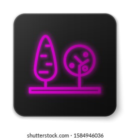 Glowing neon line Trees icon isolated on white background. Forest symbol. Black square button. Vector Illustration