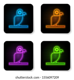 Glowing neon Pirate parrot icon isolated on white background. Black square button. Vector Illustration
